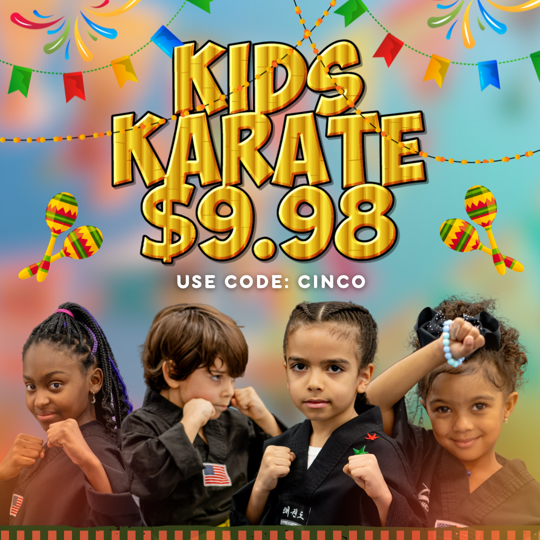 Amerikick Martial Arts Facebook ad