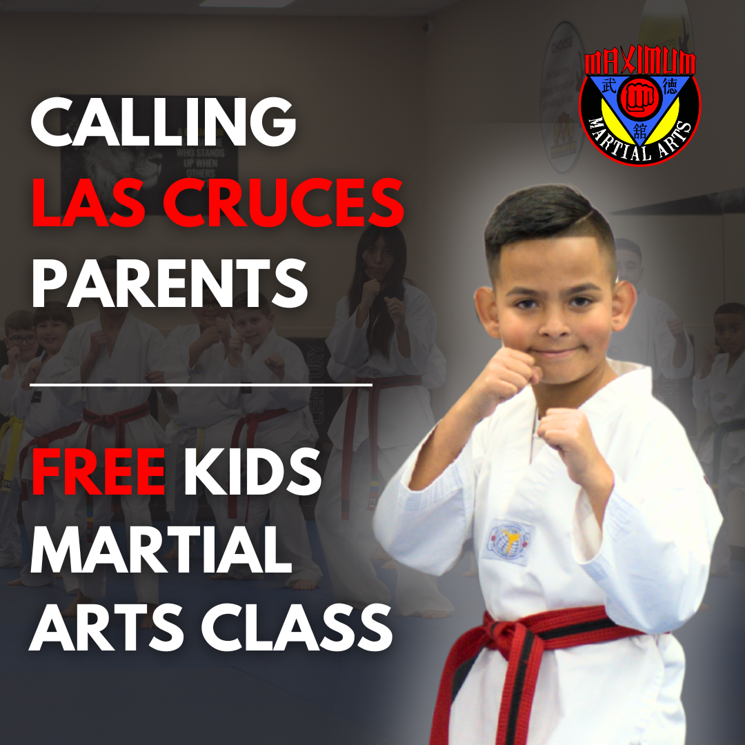 Maximum Martial Arts University Facebook ad