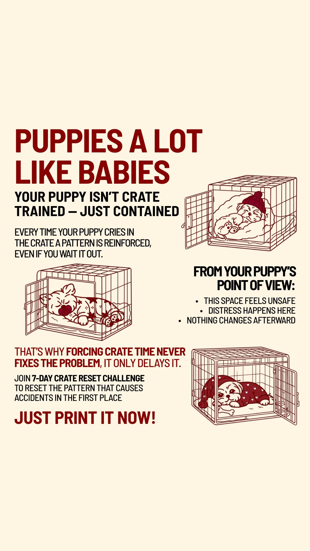 Woofz - Puppy Training Facebook ad
