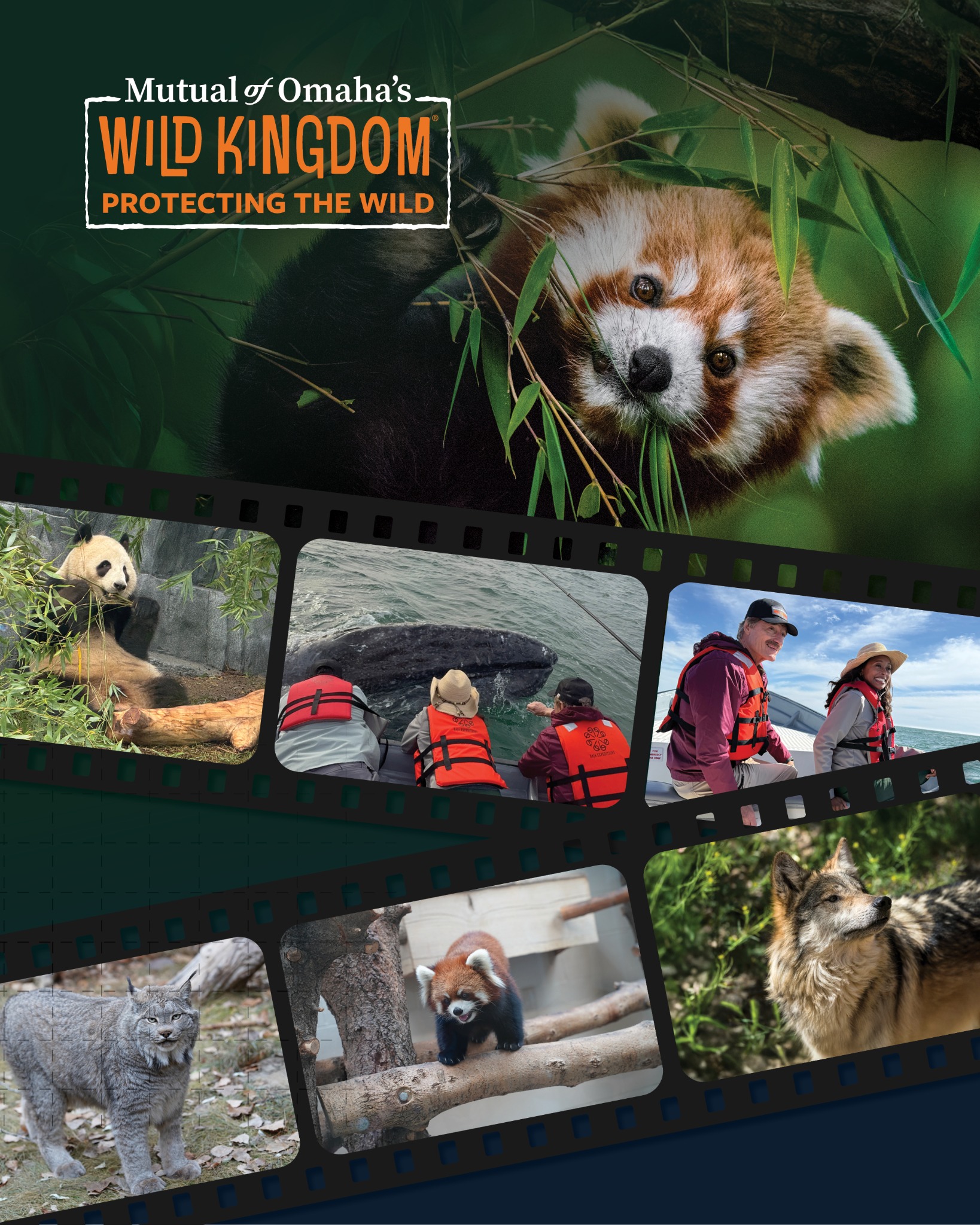 Mutual of Omaha's Wild Kingdom Facebook ad