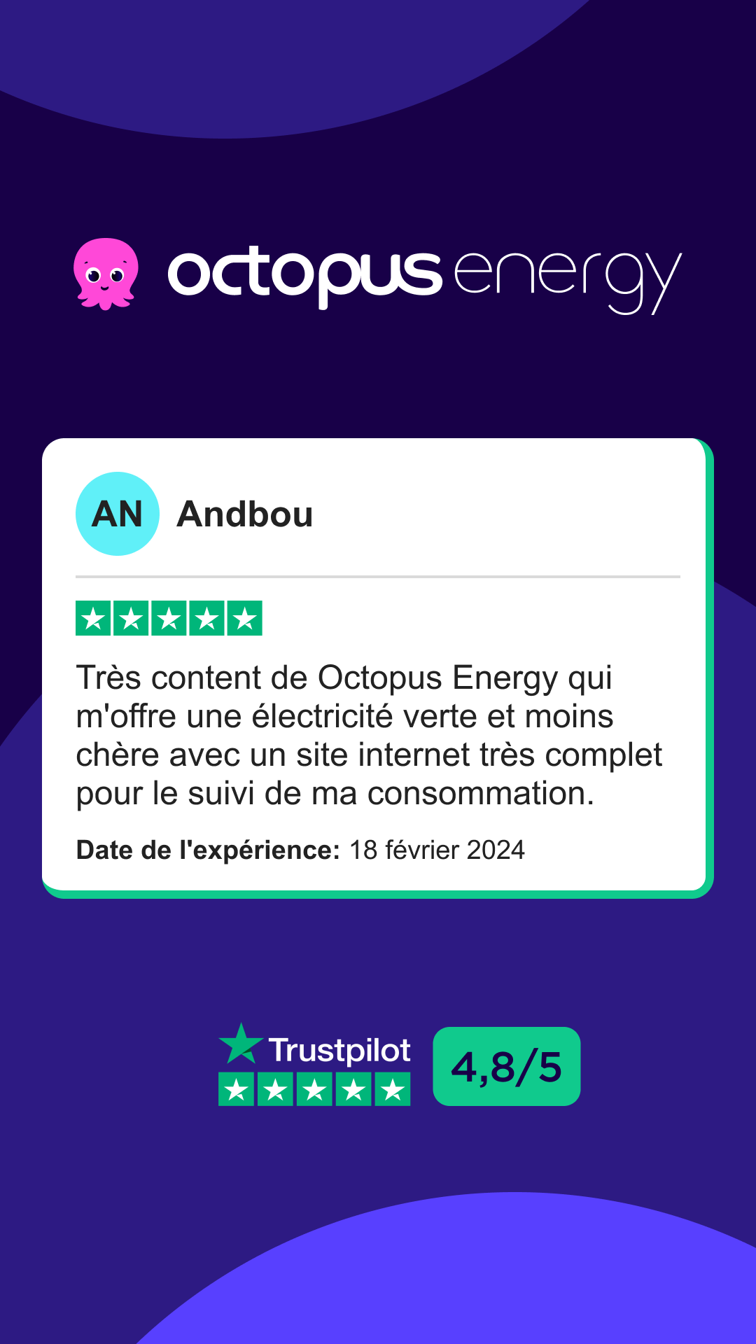 Octopus Energy Facebook ad