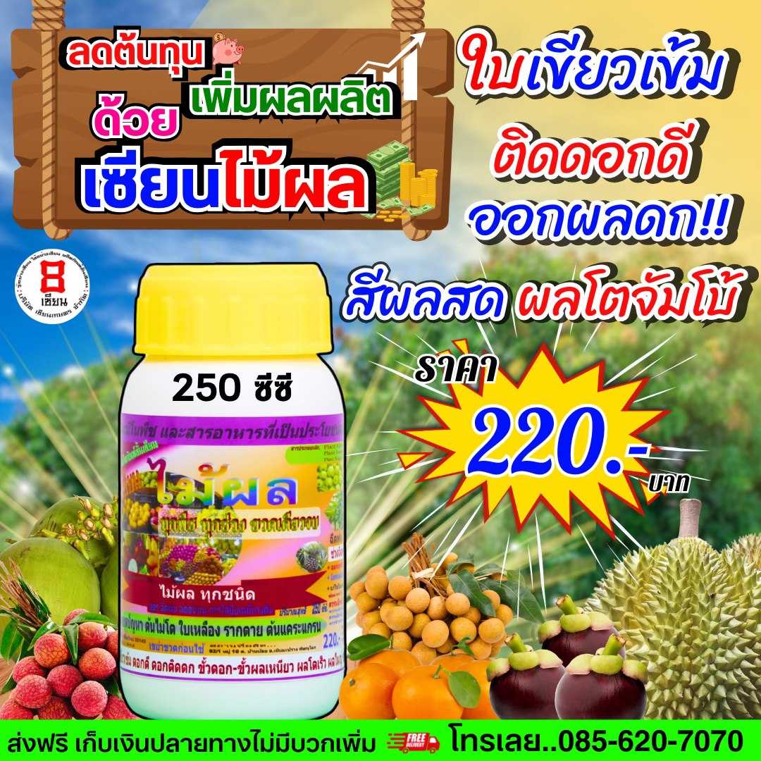 8เซียน Sienkaset 085-6207070 Facebook ad