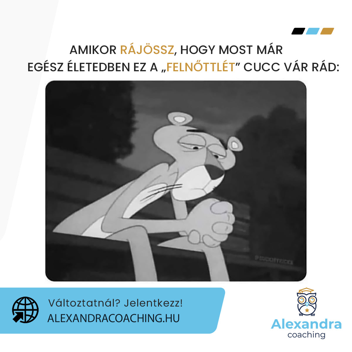Alexandra coaching: karrier, vezetői és life coaching Facebook ad