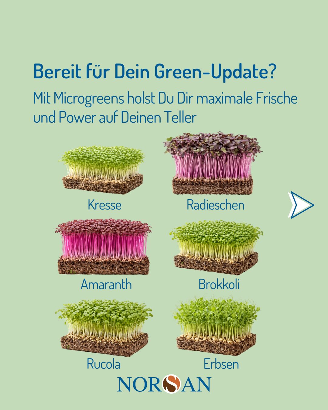 NORSAN Facebook ad