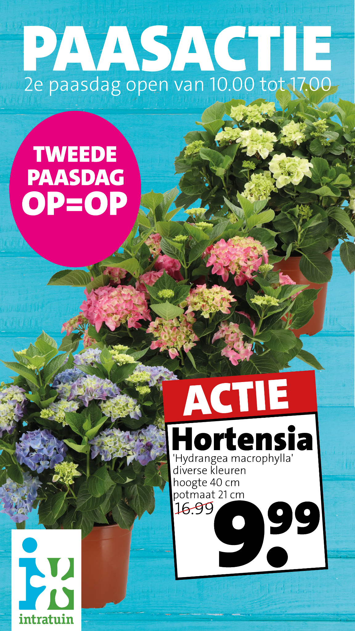 Intratuin Nuenen Facebook ad from Apr 2, 2026
