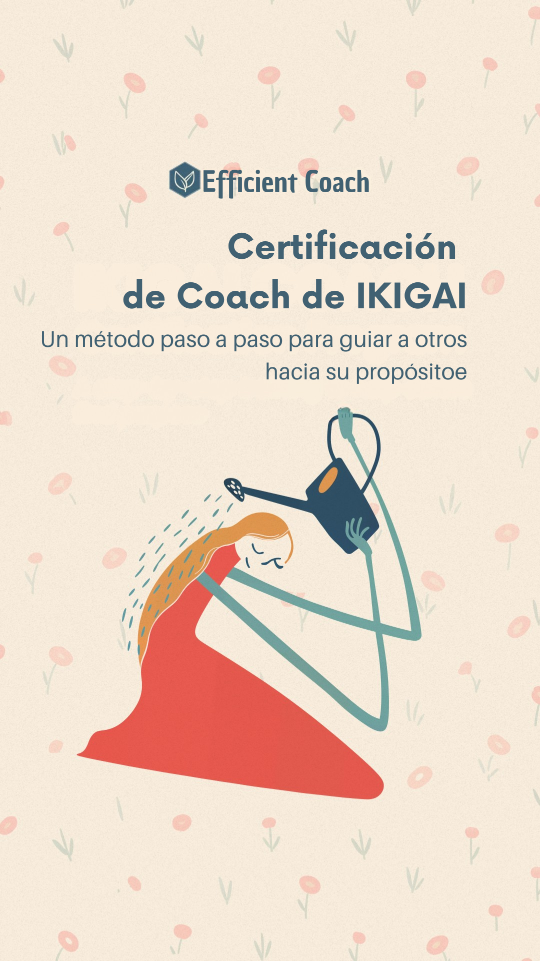 Efficient Coach Facebook ad