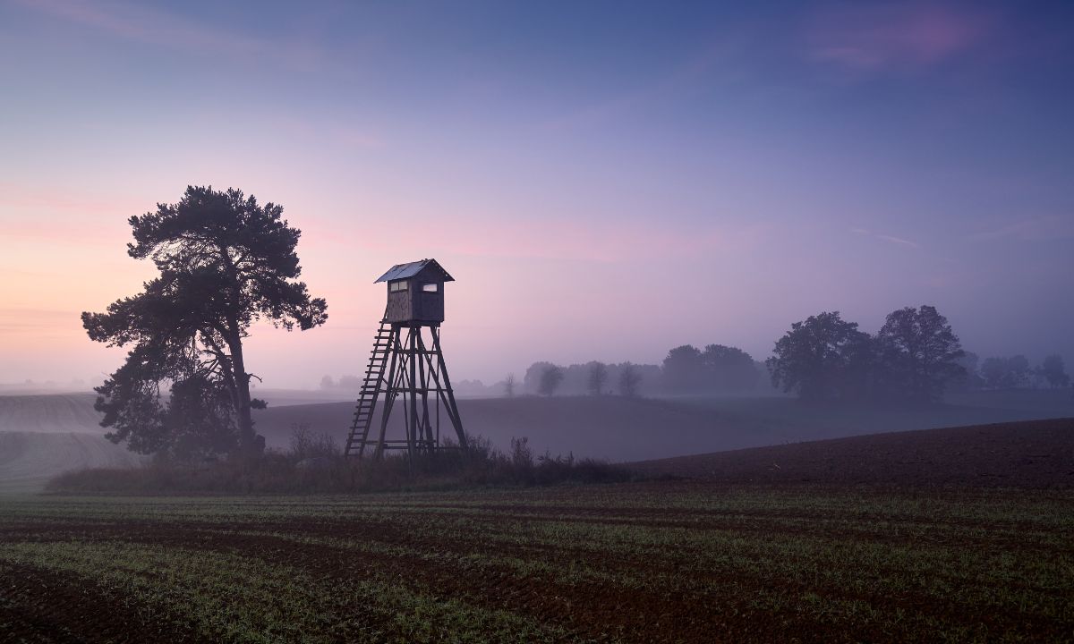 Gaumen Hoch Facebook ad: Streitmannsheil Ökologische vs. konventionelle Jagd