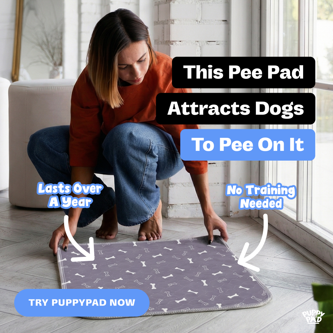 PuppyPad Facebook ad