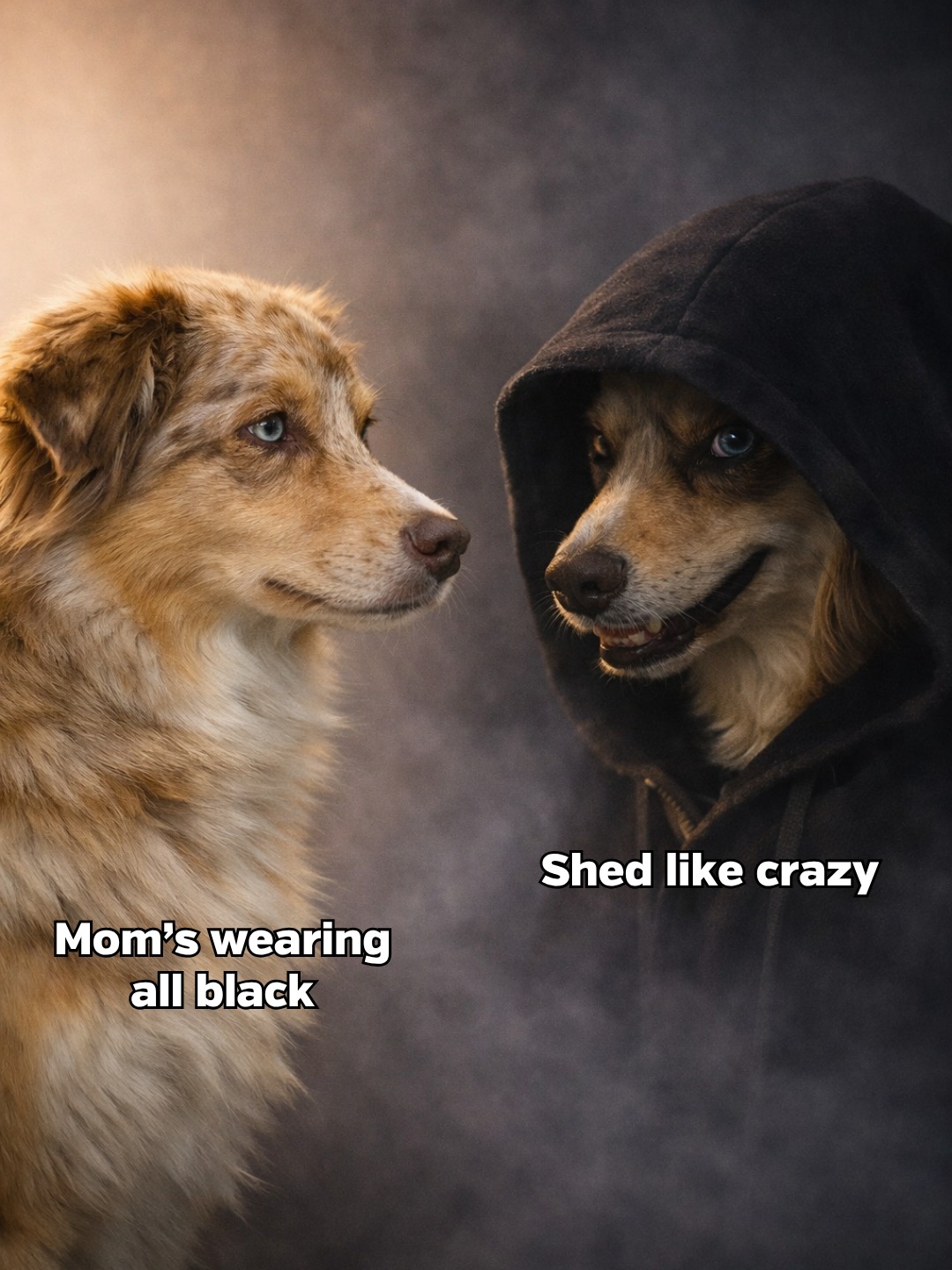 Pet Supplies Plus Facebook ad