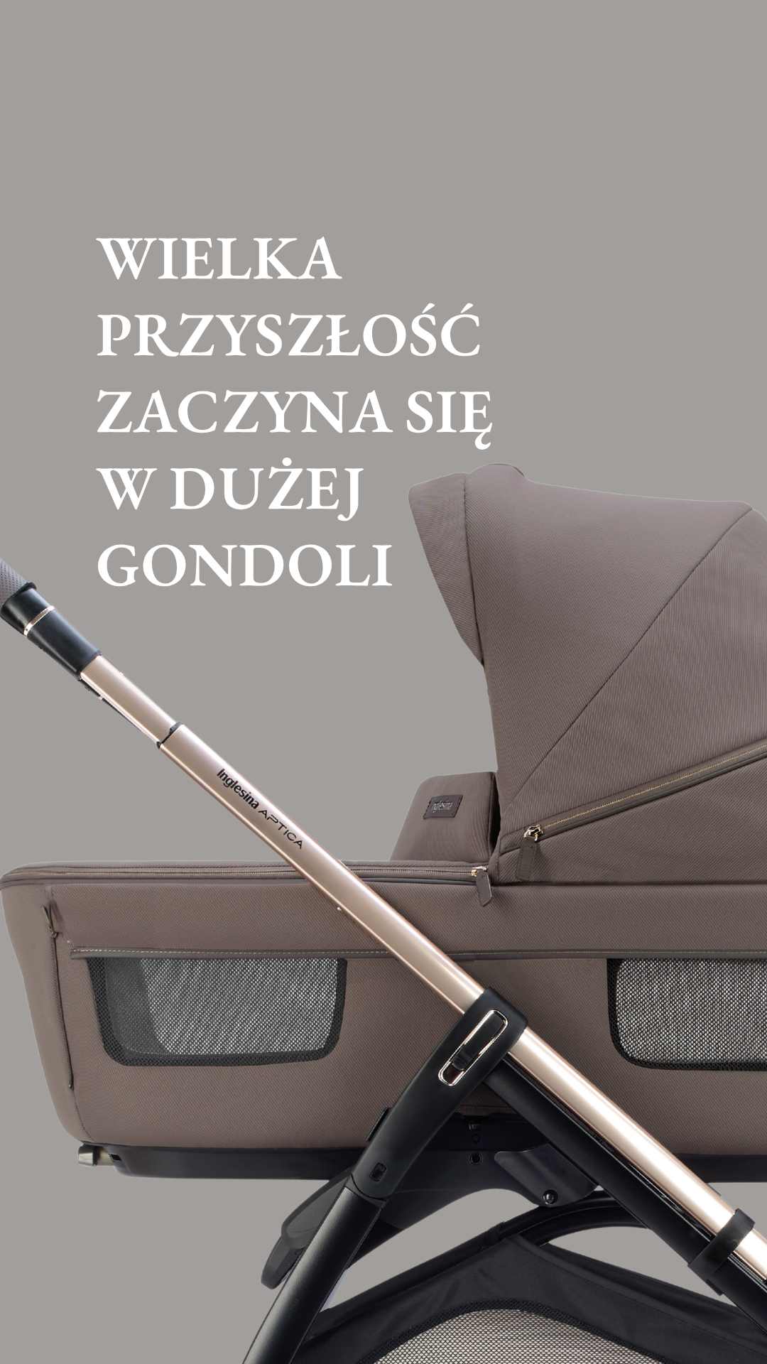 Inglesina Facebook ad