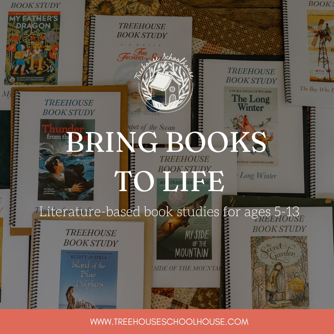 Treehouse Schoolhouse Facebook ad: Explore Treehouse Schoolhouse Book Studies