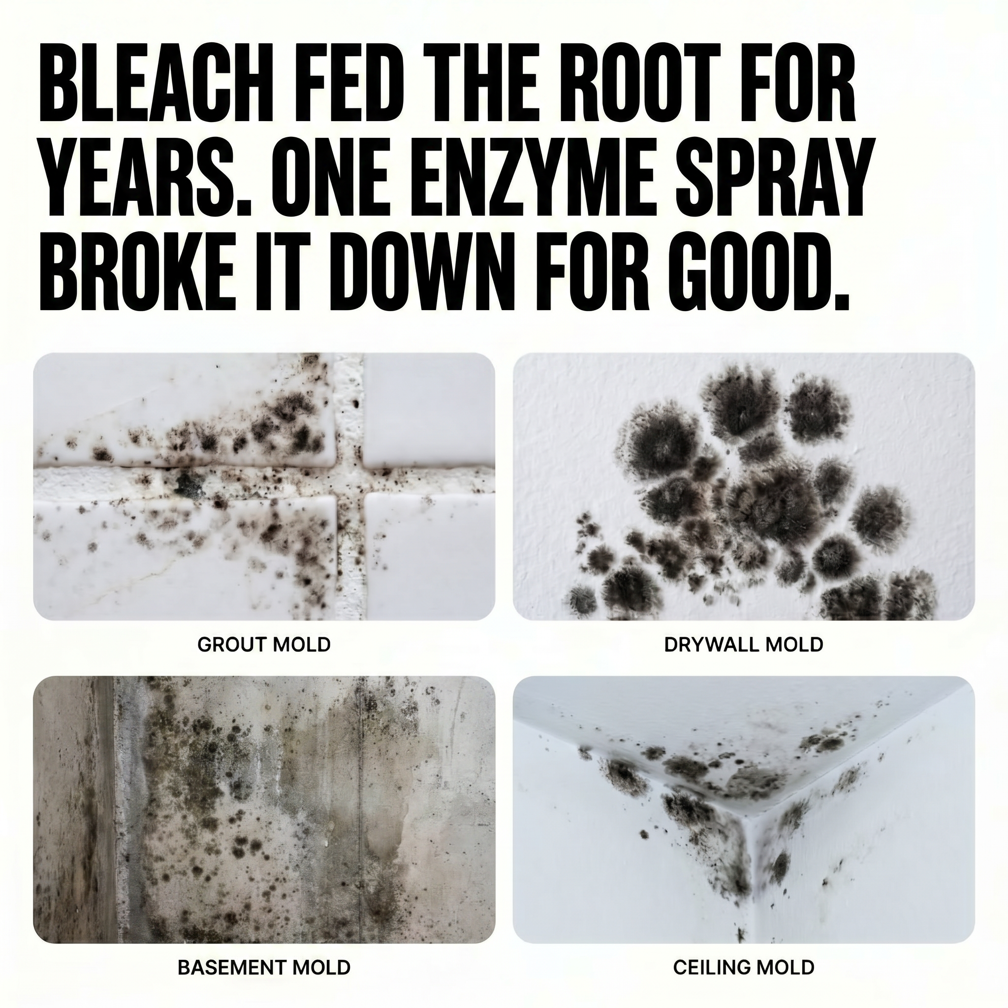 Mold MD Facebook ad