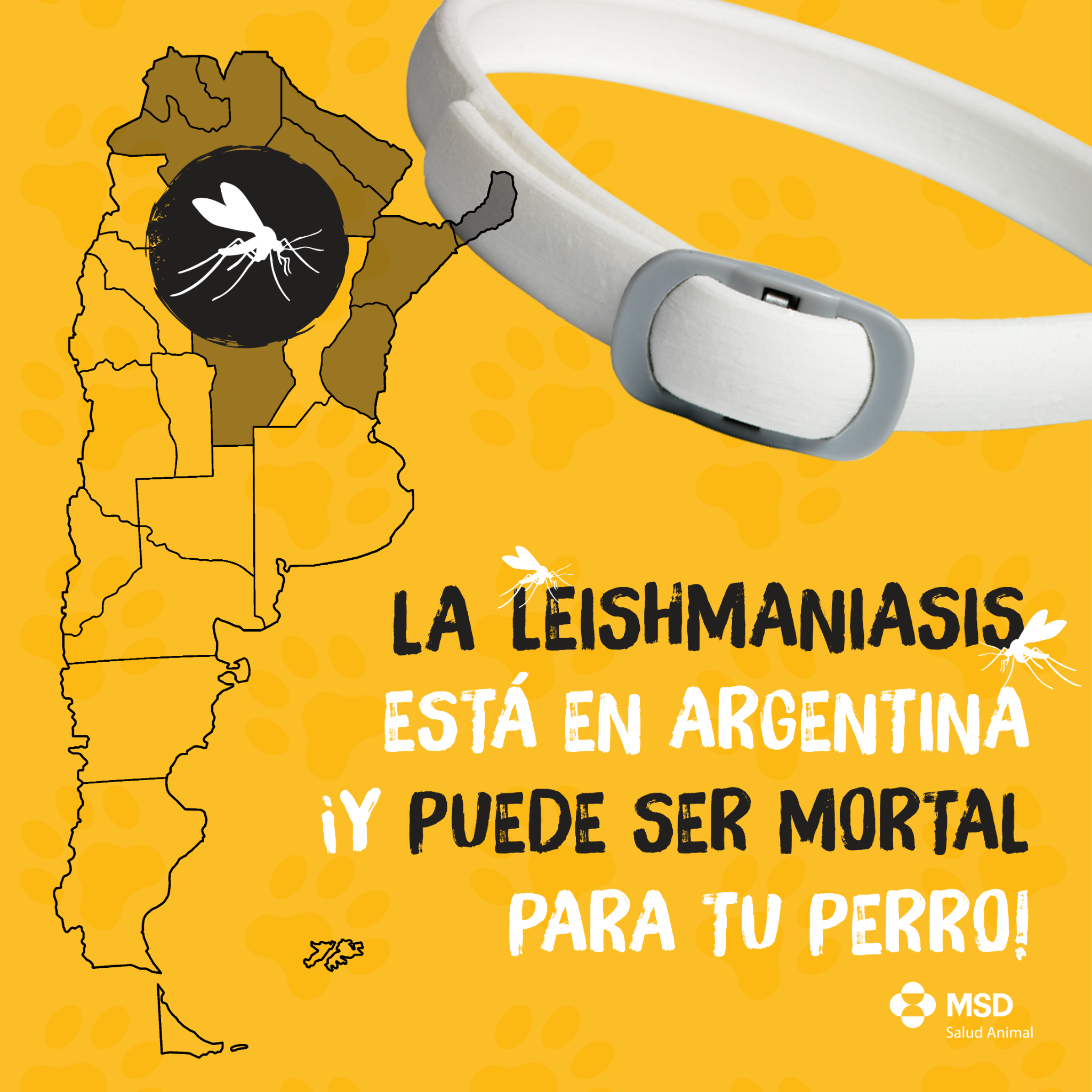Mascotas Sanas y Divertidas Facebook ad