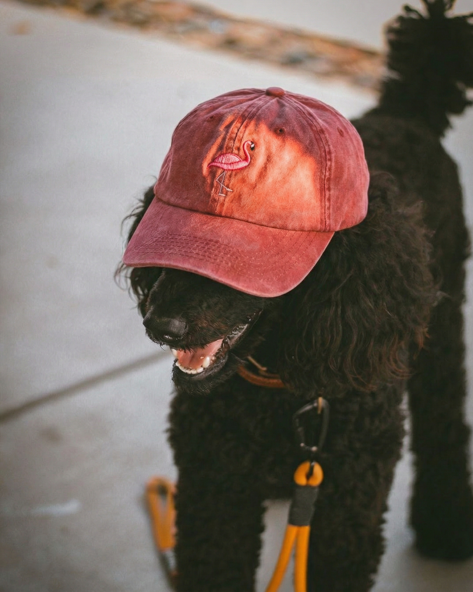 CAPS Apparel Facebook ad