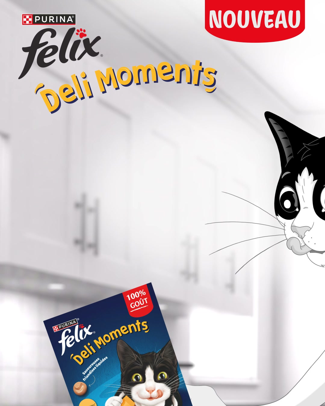 Purina FELIX Facebook ad from Aug 26, 2026