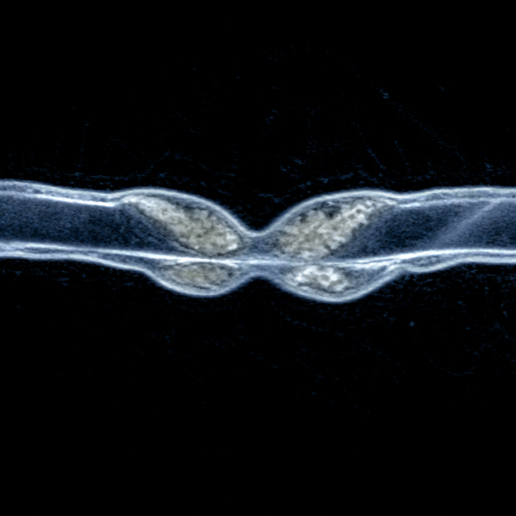 Flavanol Research Institute  Facebook ad