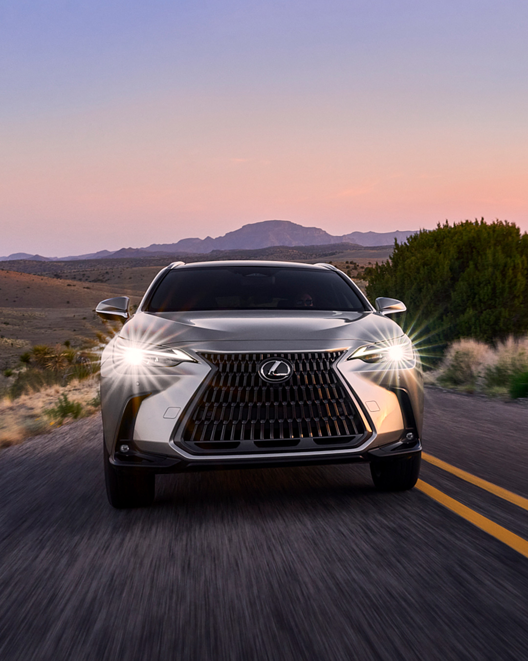 Lexus Facebook ad