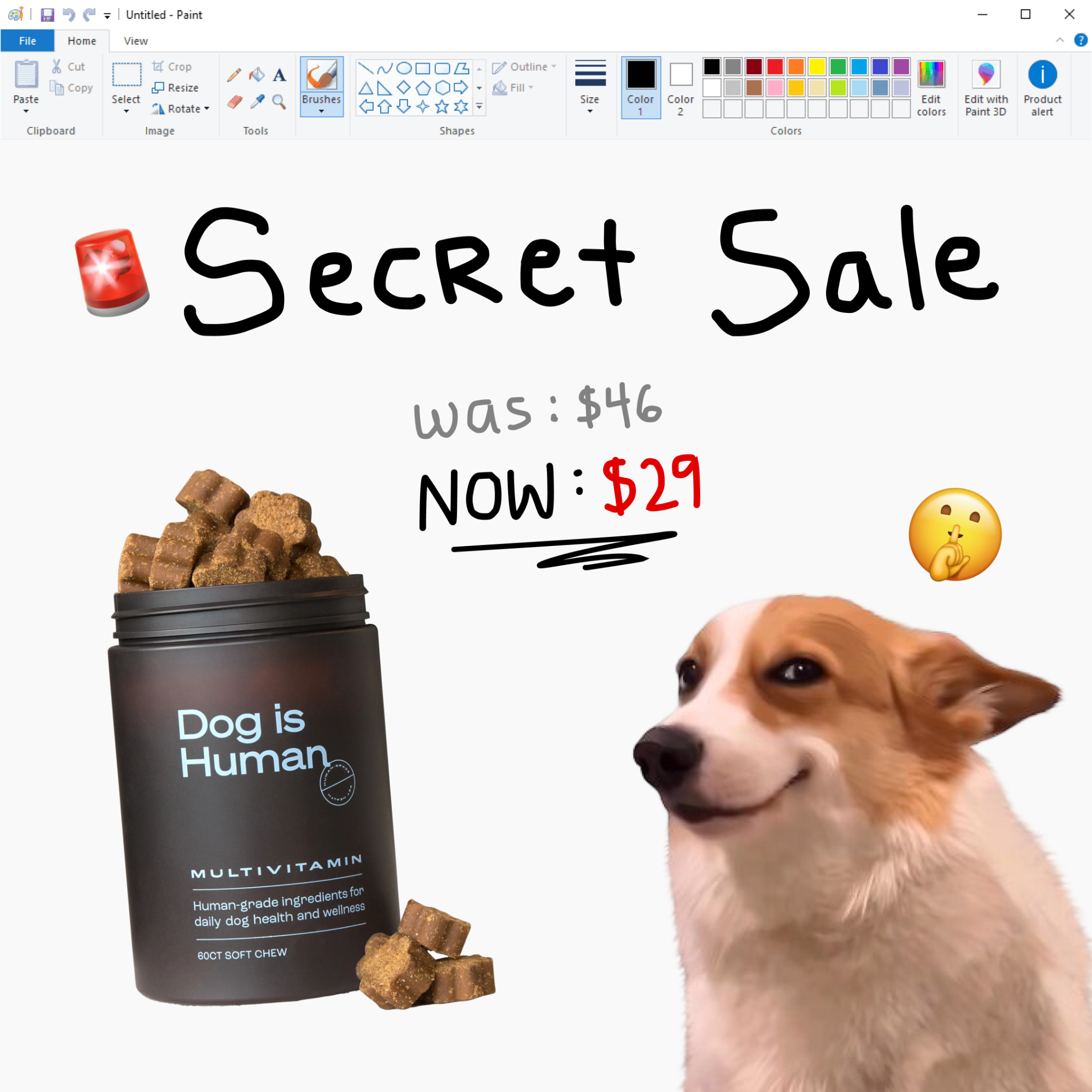 Dog is Human Facebook ad