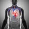 The Heart Health Project