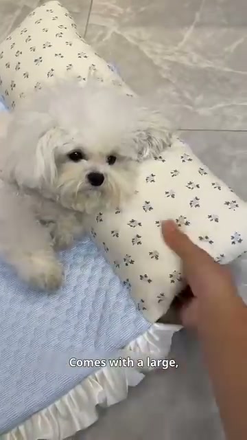 Ktty.fashier Facebook ad: Summer Bestseller! Pet Cooling Mat + Pillow, Over…