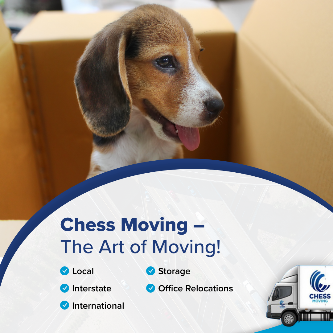 Chess Moving Australia Facebook ad