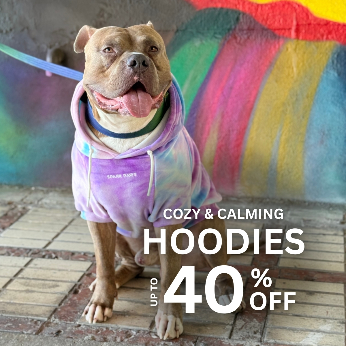 Spark Paws Facebook ad