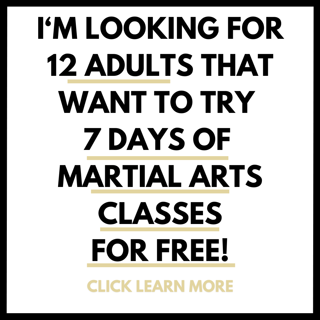 Ancient Arts: Kuk Sool Kwan Hapkido Facebook ad