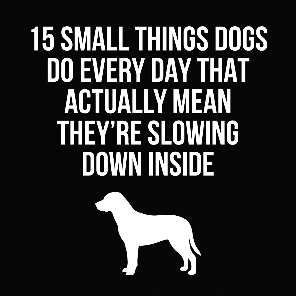 Animals Around The Globe Facebook ad