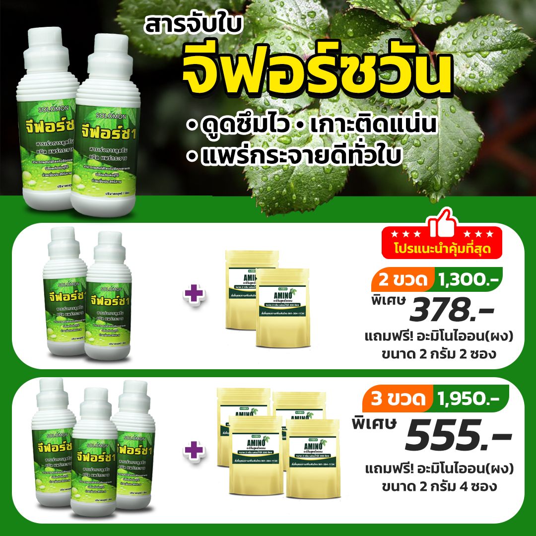 ตักศิลาเกษตร ความรู้คู่นวัตกรรมเพิ่มผลผลิต Facebook ad: โปรร้อนแรง ซื้อ 2 ขวด วันนี้ เหลือเพียง 378.