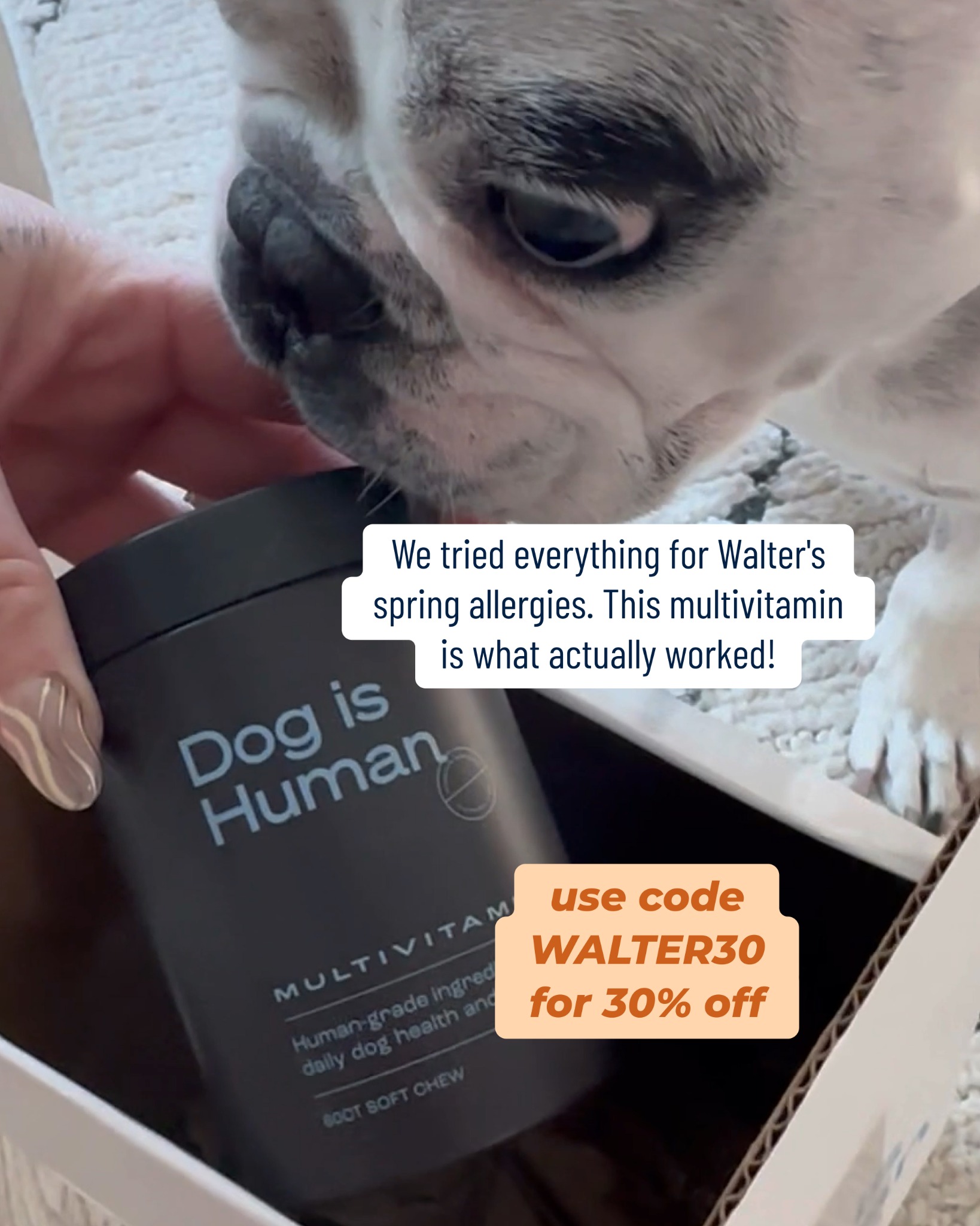 Dog is Human Facebook ad