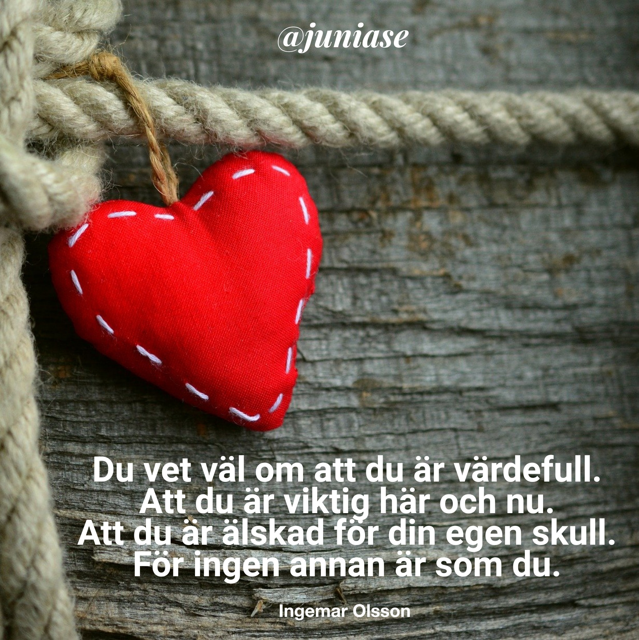 Junia Facebook ad