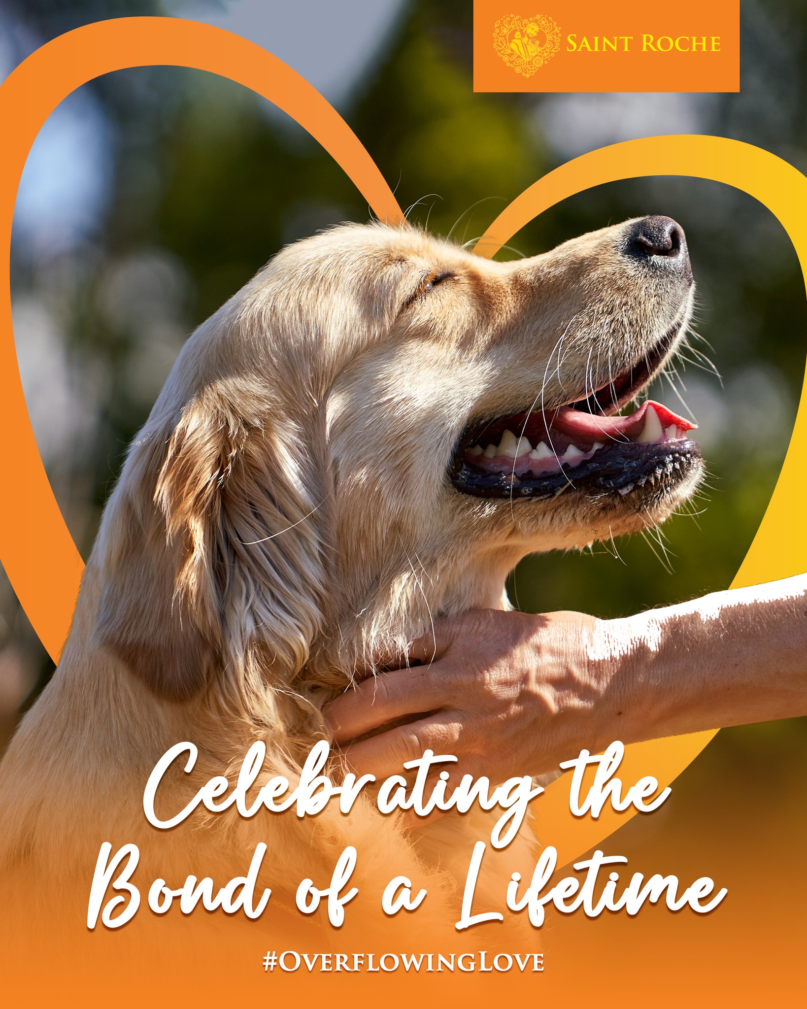 Saint Roche Premium Dog Shampoo Facebook ad