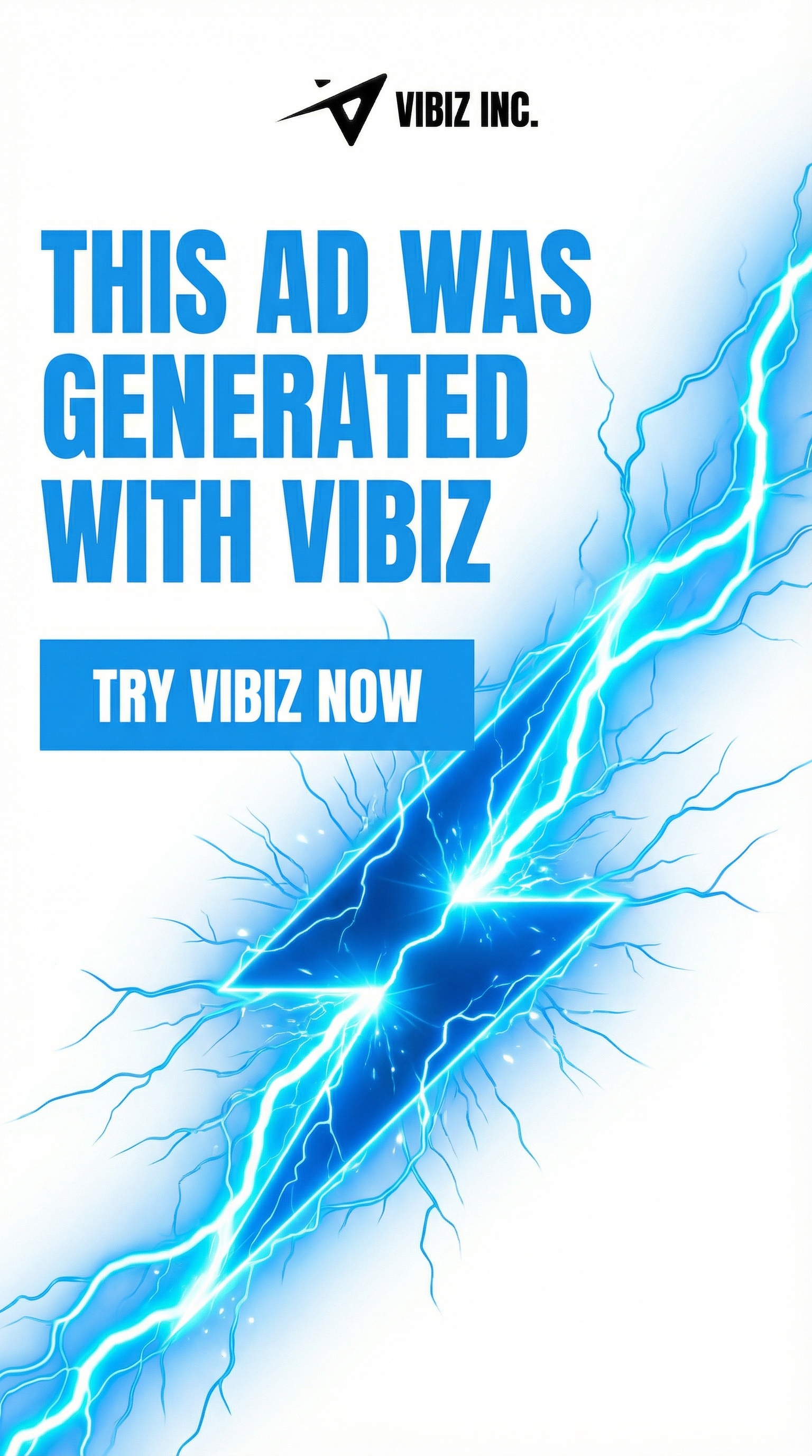 Vibiz Facebook ad