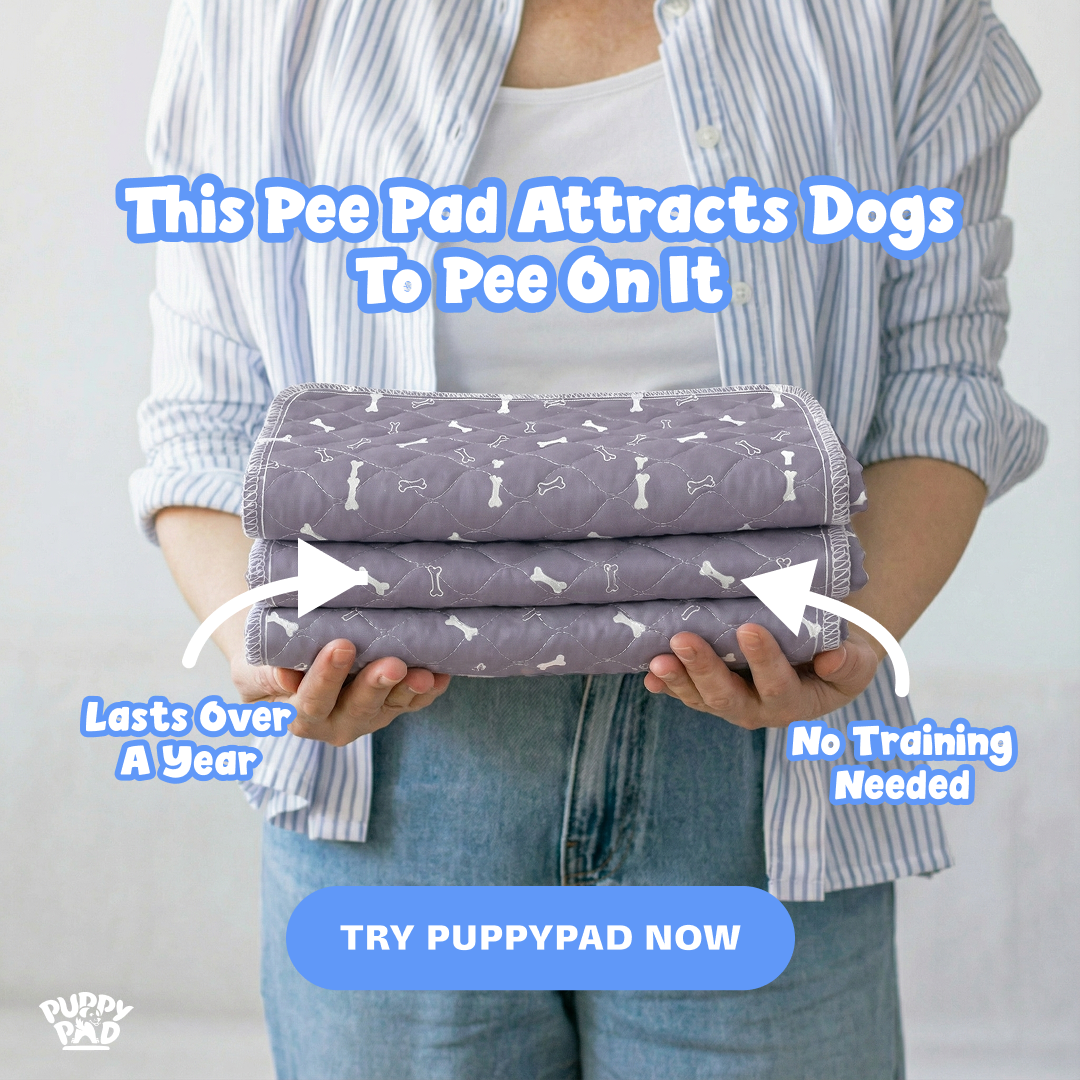 PuppyPad Facebook ad