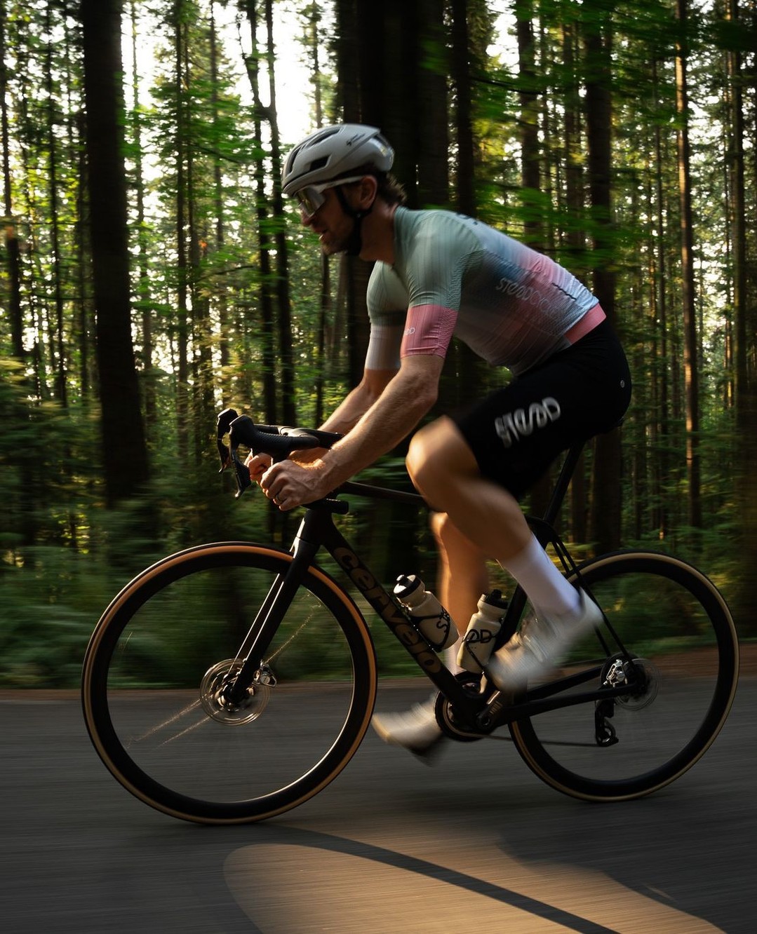 Steed Cycles Facebook ad