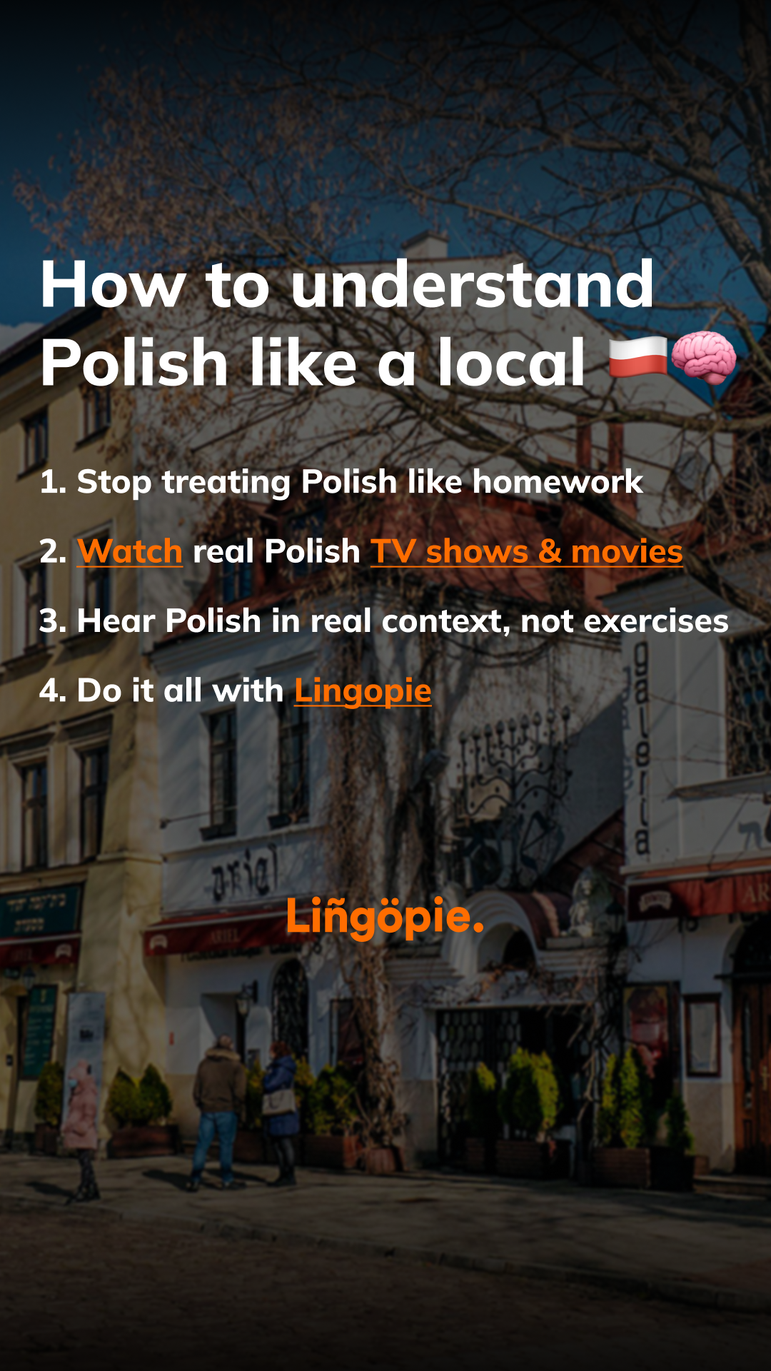 Lingopie Facebook ad from Feb 18, 2026