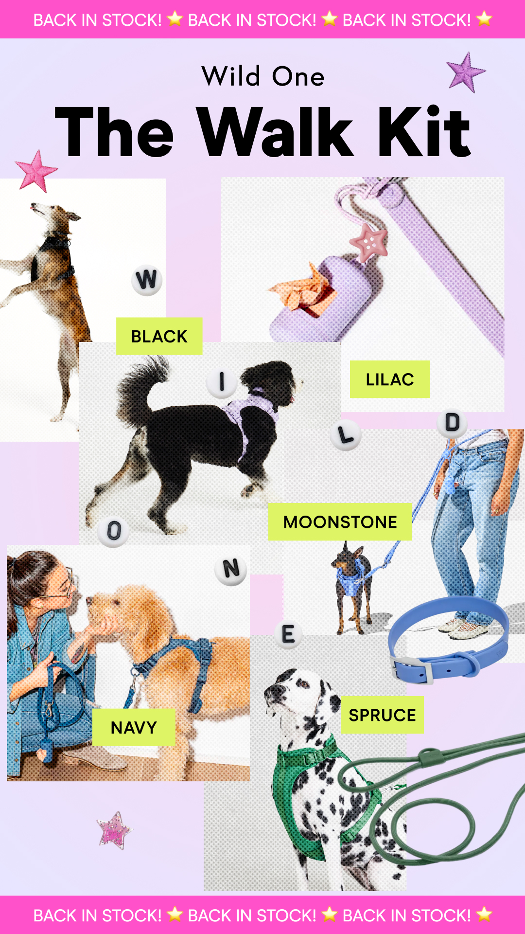 Wild One Facebook ad
