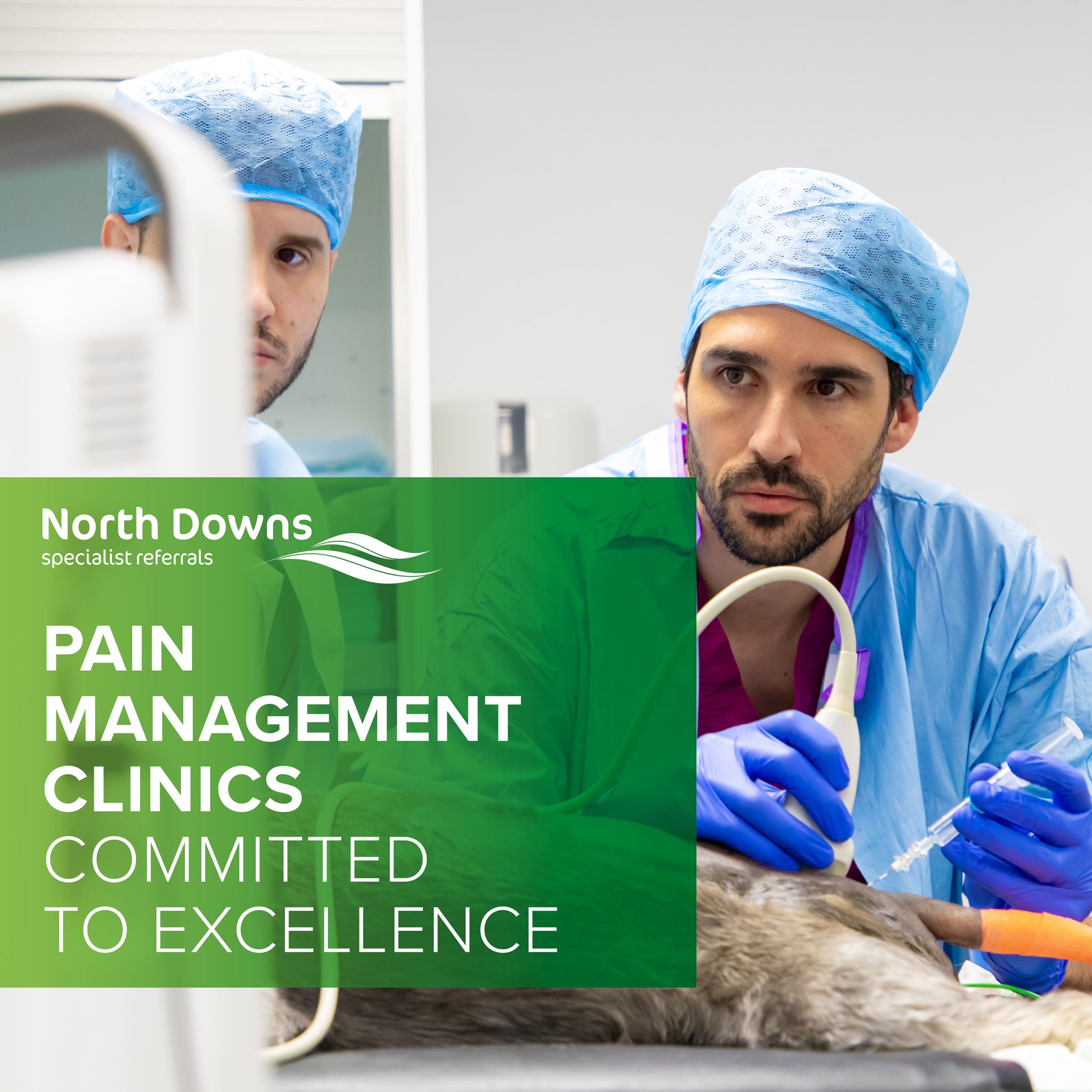 North Downs Specialist Referrals Facebook ad from Feb 3, 2026