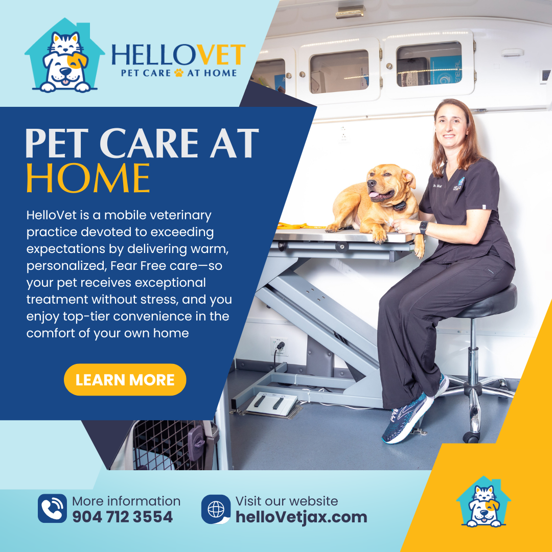 HelloVet Facebook ad: Pet Care at Home