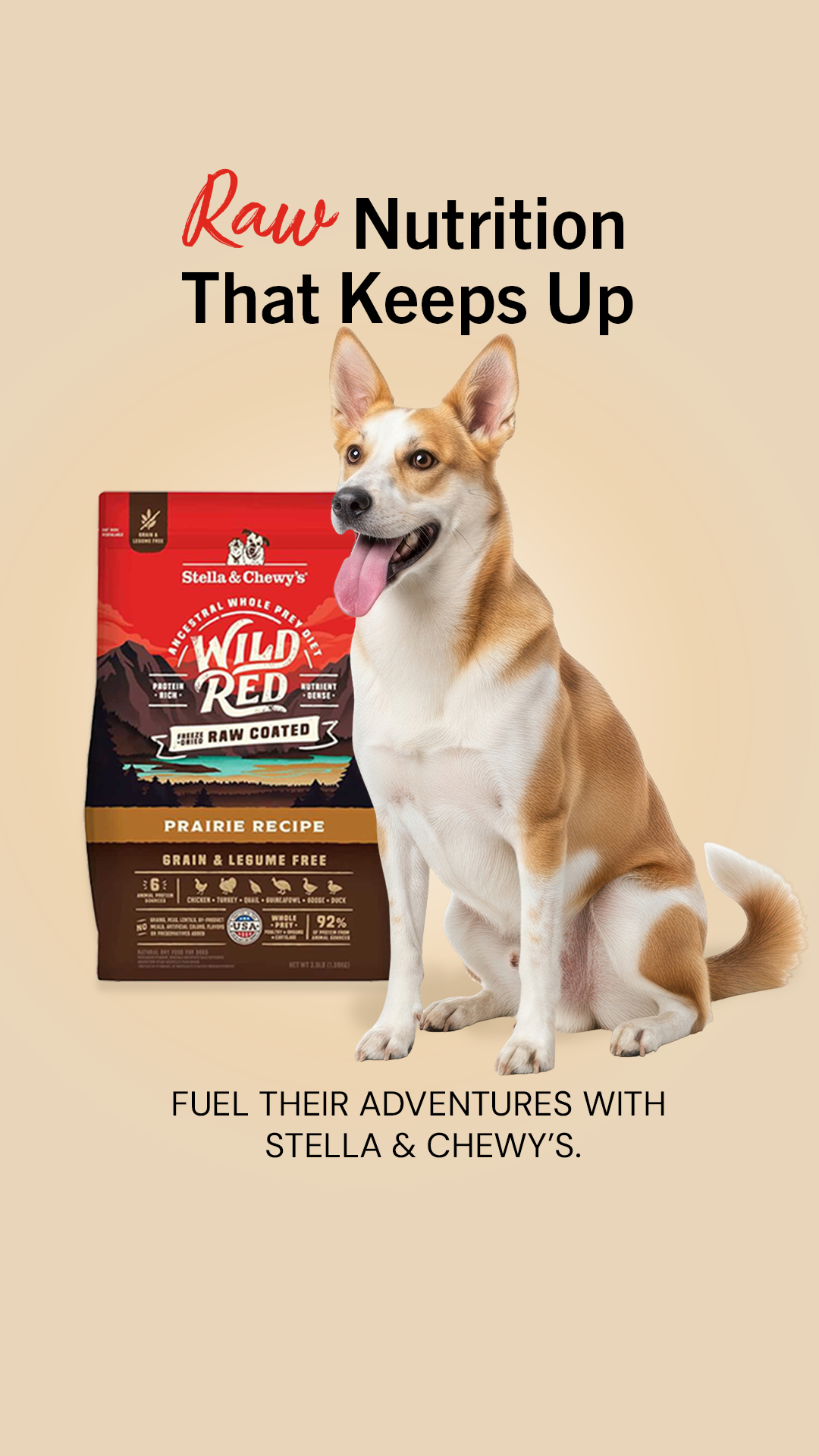 Stella & Chewy's Facebook ad
