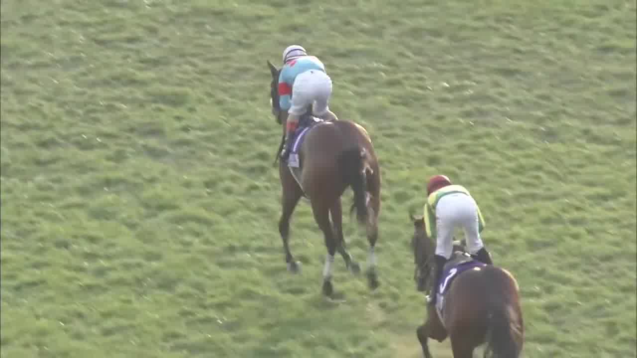 Jockey Viva Go Facebook ad: Virtual Horse Racing Game