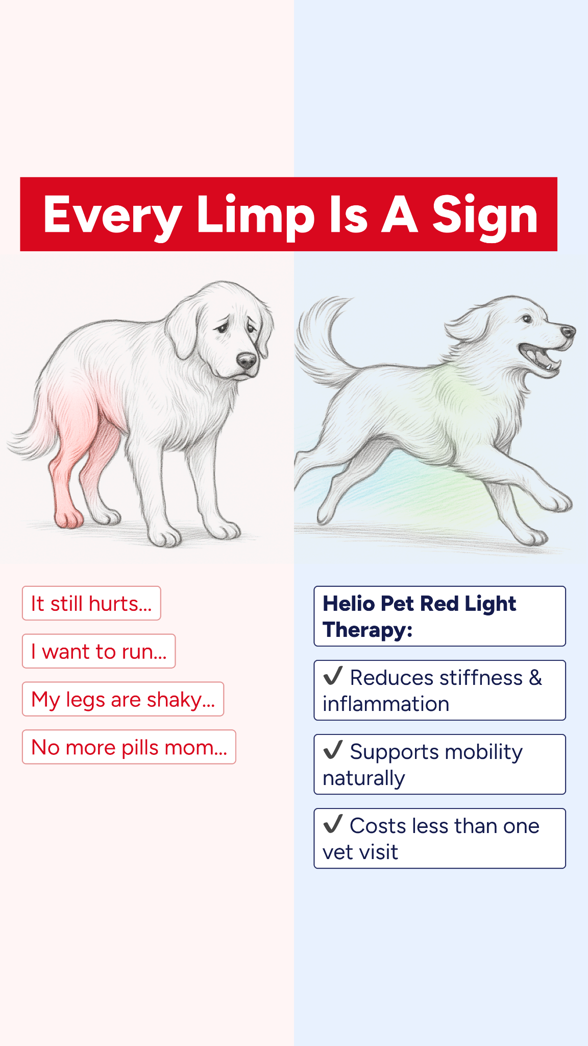 Helio Pet Facebook ad