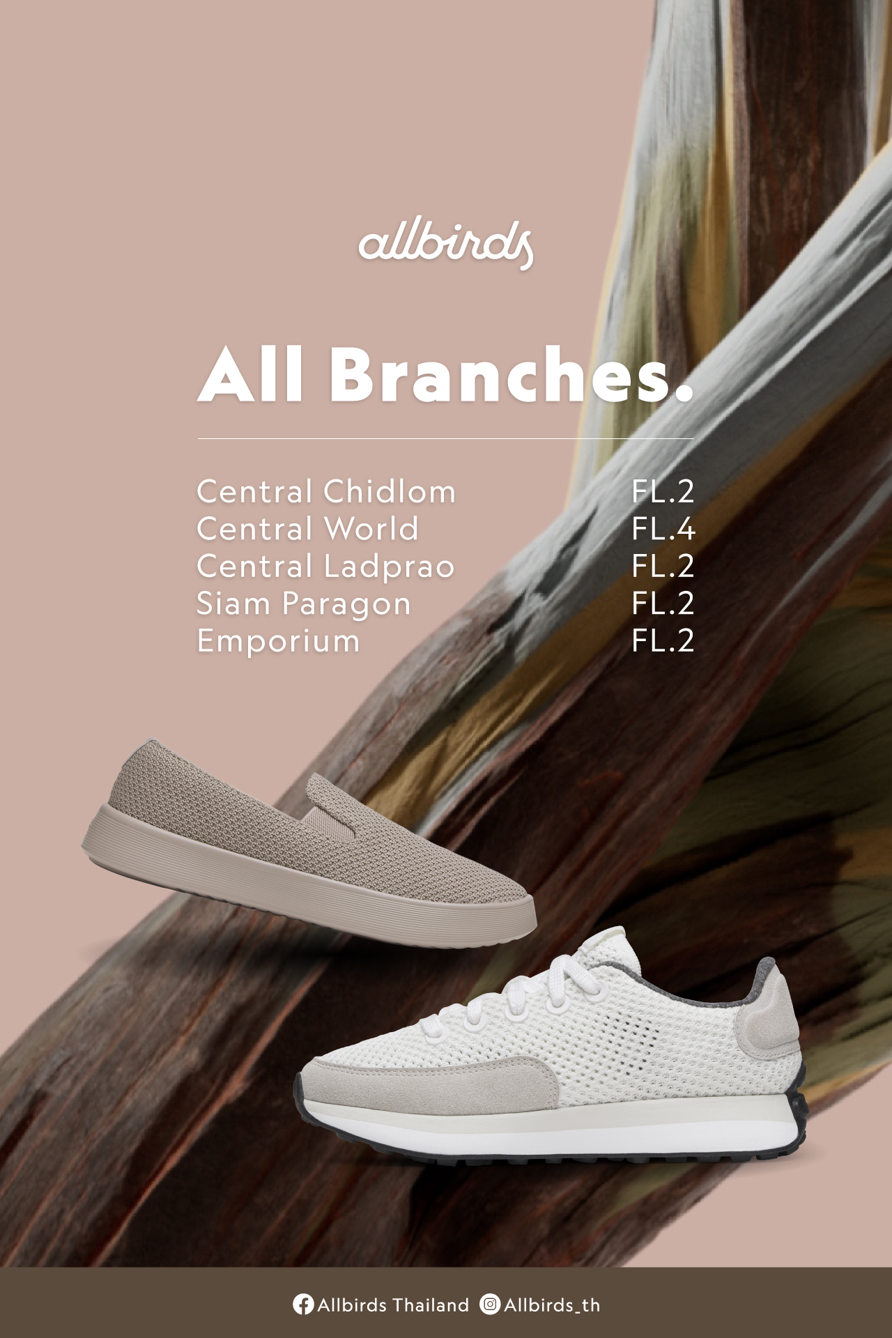 Allbirds Thailand Facebook ad: Allbirds วางจำหน่ายแล้ววันนี้ที่