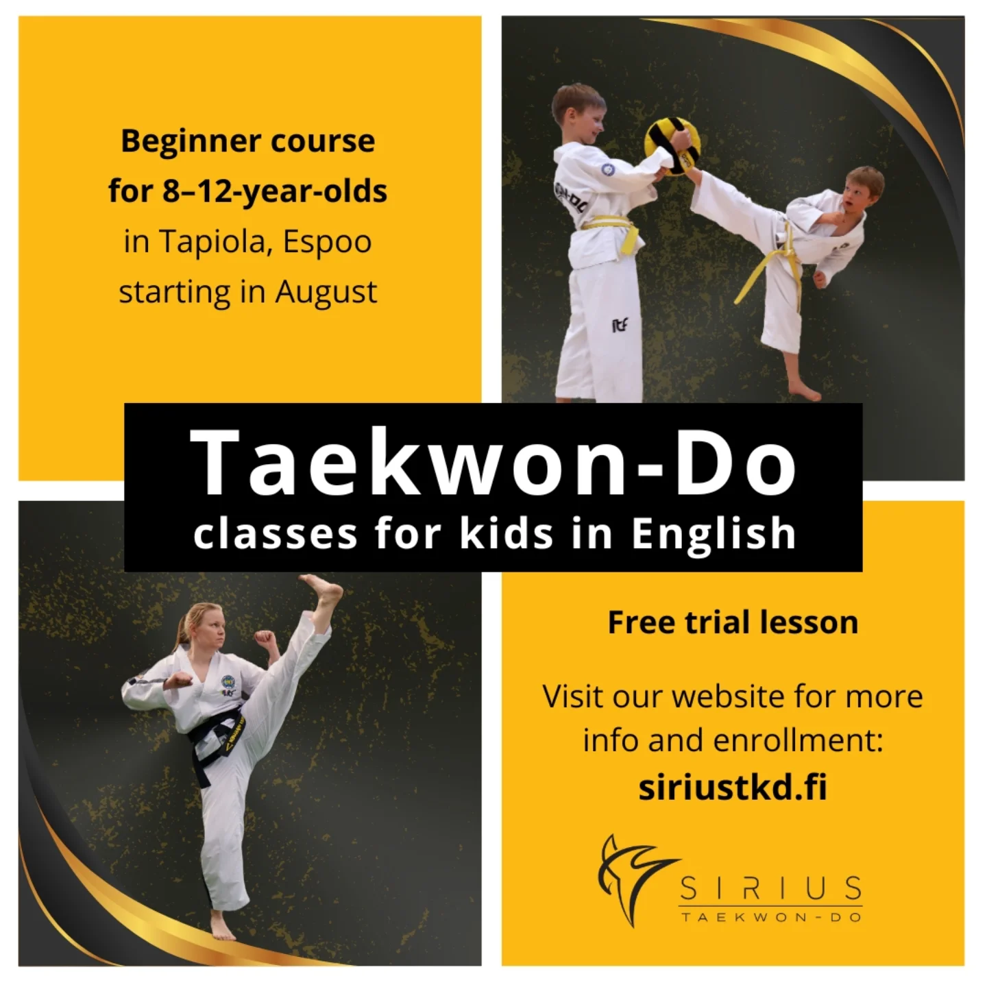 Sirius Taekwon-Do Facebook ad