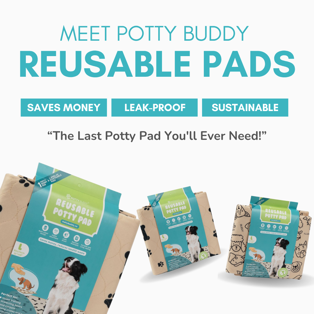 Potty Buddy Facebook ad