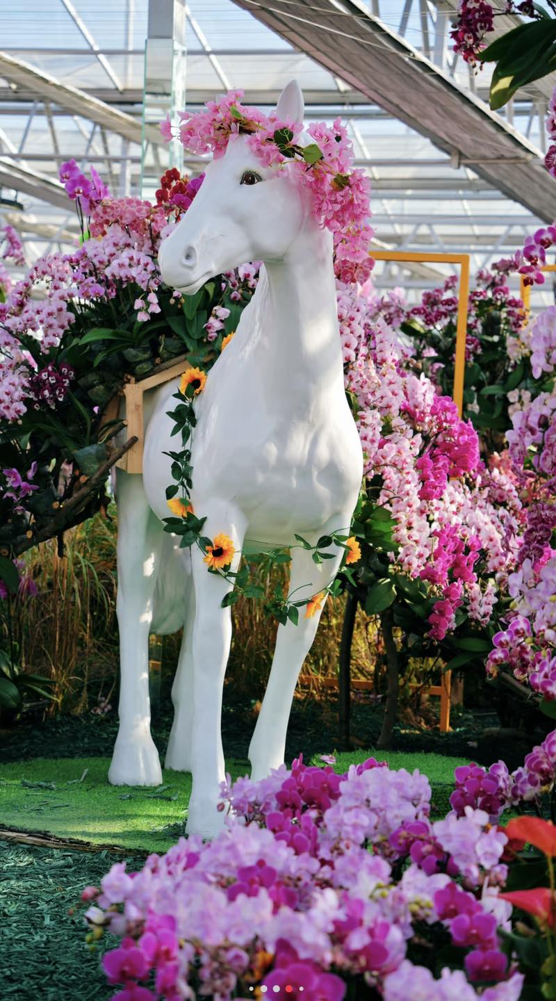 Discover Beijing Facebook ad: Look-what's blooming on the horse head?