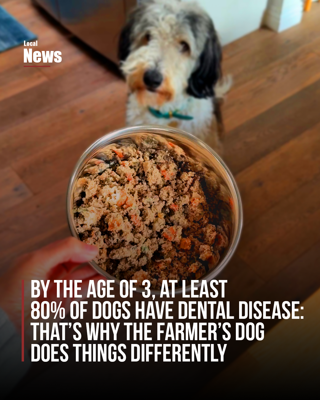 Tail Wagging Society Facebook ad