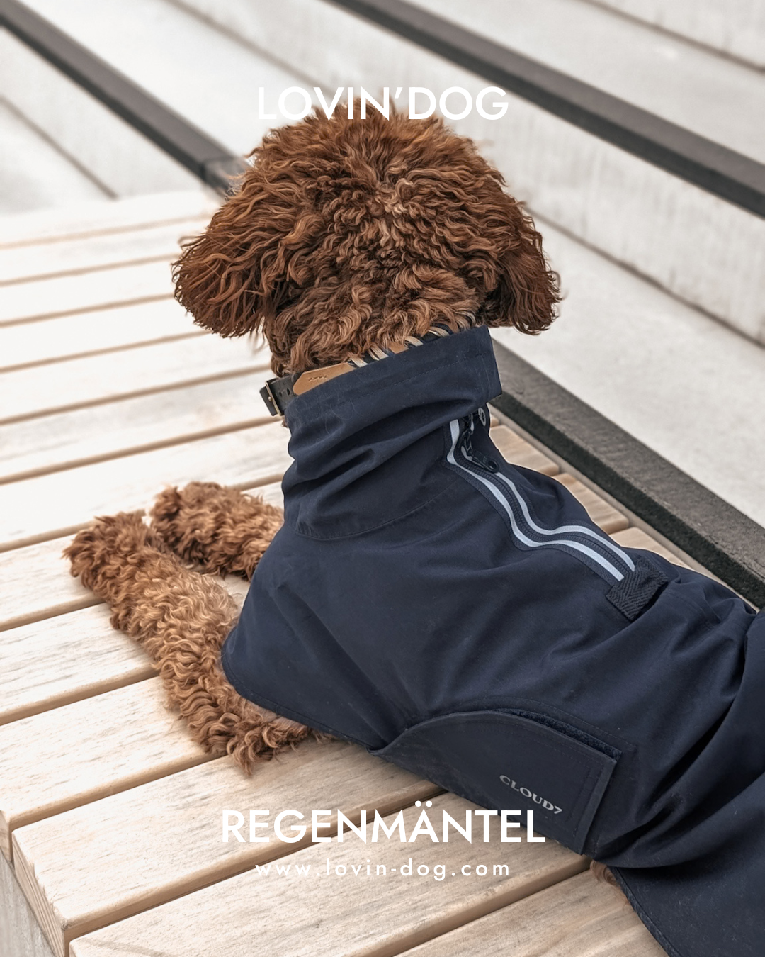 Lovin'dog Facebook ad