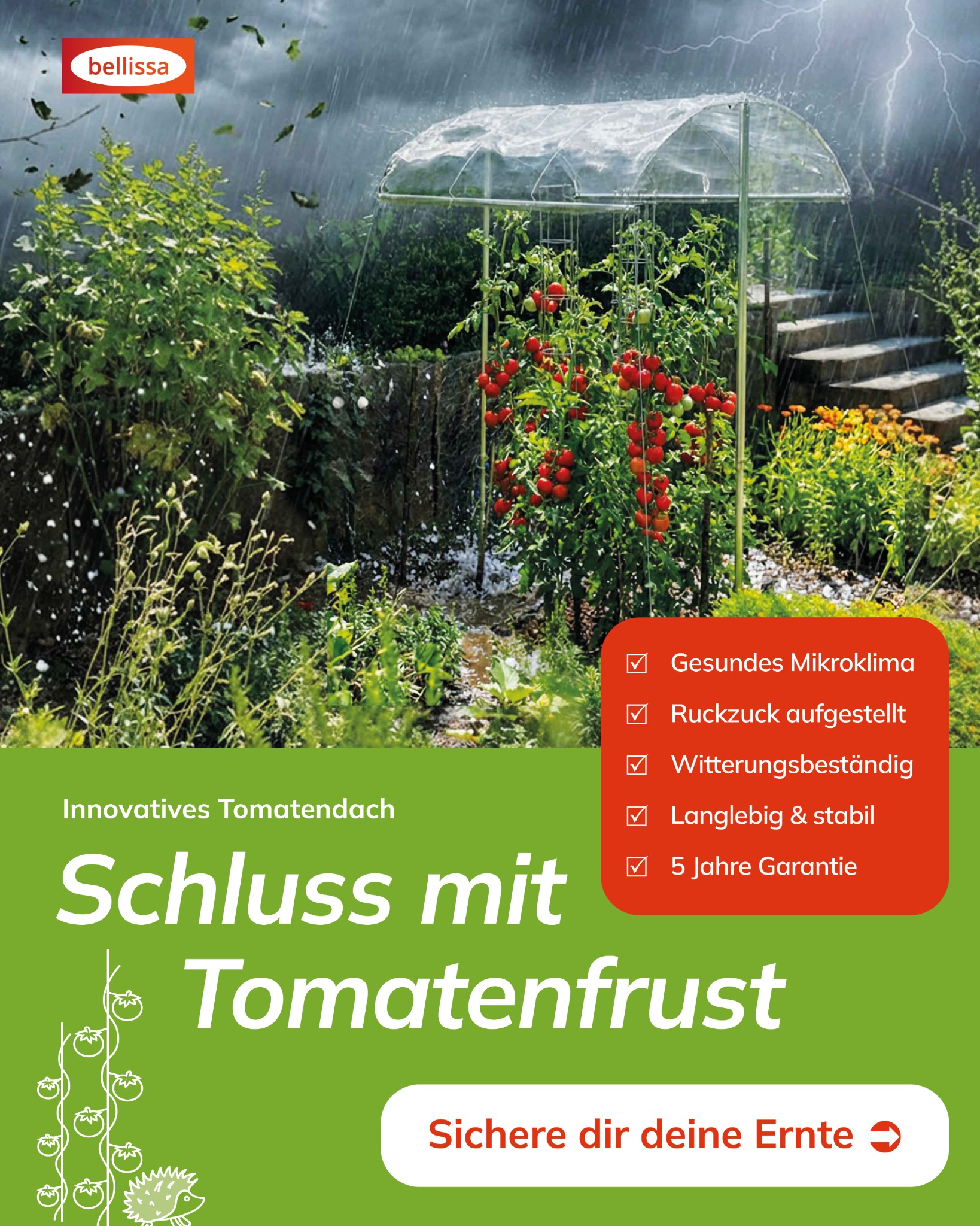 bellissa Haas GmbH Facebook ad: Schütze deine Tomaten effektiv