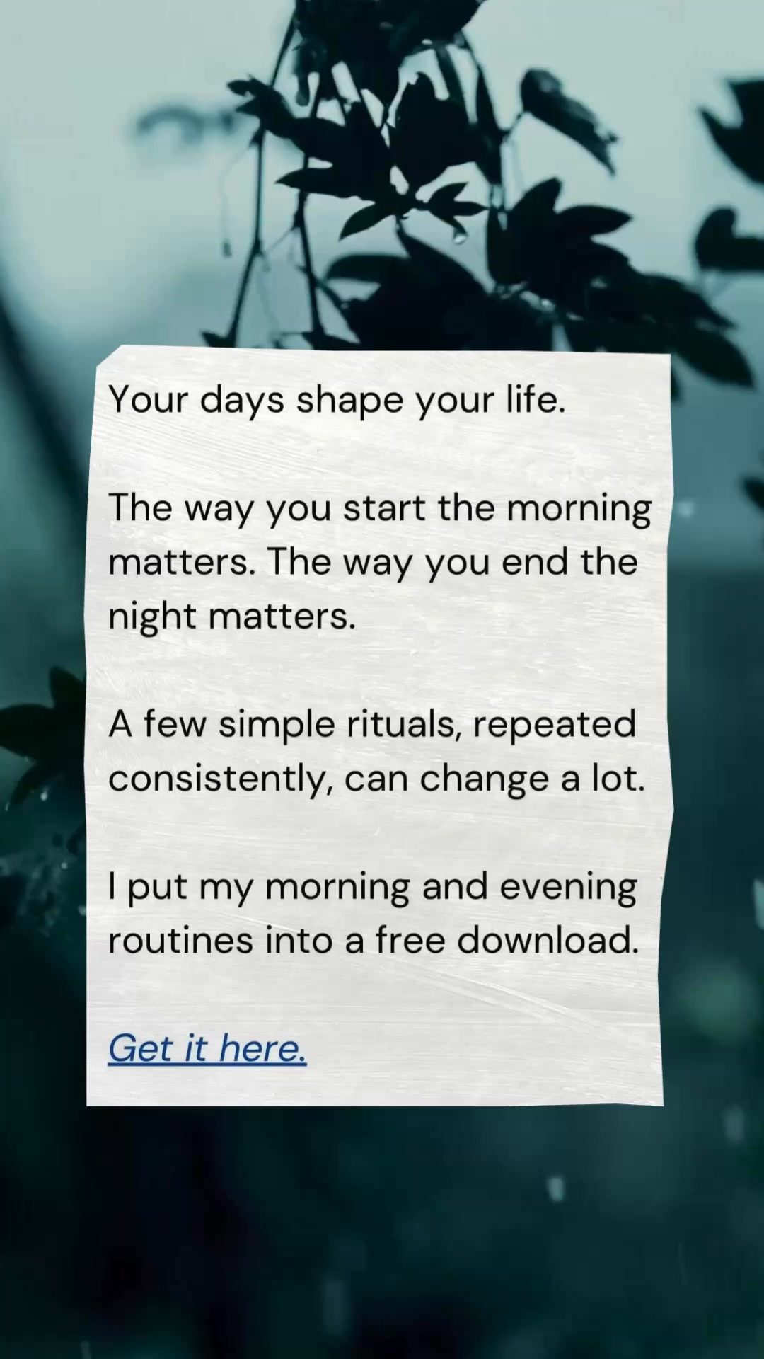 Sahil Bloom Facebook ad: Get My Morning/Evening Routine.